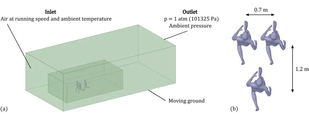 Fig.1(計算領域・メッシュ・間隔定義) 出典:Schickhofer & Hanson (2021) 著者版(arXiv:2104.11976)、CC BY 4.0。Publisher’s DOI: 10.1016/j.jbiomech.2021.110457。 変更:サイズ調整(1200px)