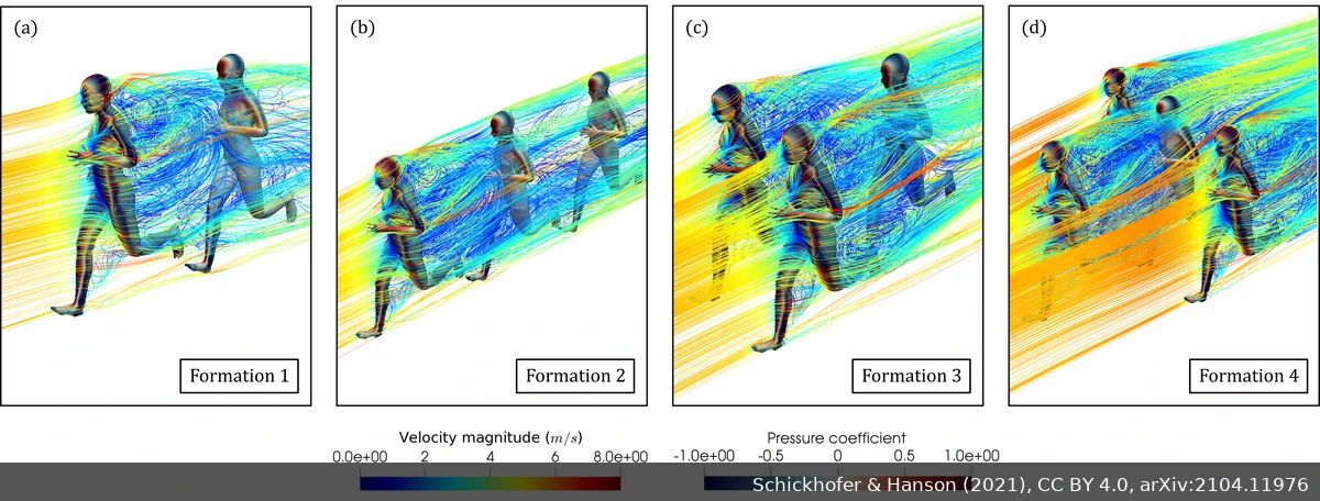 出典：Schickhofer & Hanson (2021) 著者版（arXiv:2104.11976）、CC BY 4.0。Publisher’s DOI: 10.1016/j.jbiomech.2021.110457