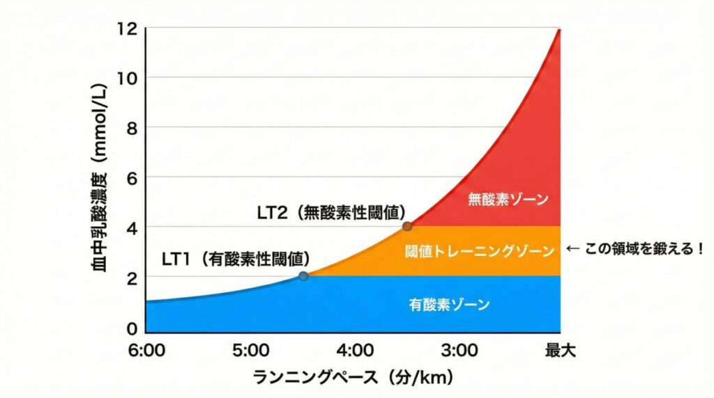 LT1・LT2を示す乳酸カーブグラフの解説図。横軸に運動強度(ペース)、縦軸に血中乳酸濃度。LT1とLT2の位置を明示