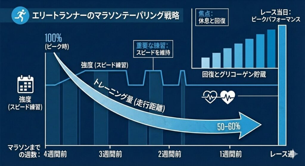 マラソントレーニングのテーパリング戦略